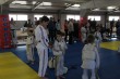 Турнир" СК Чемпион" 15,04,2017г.